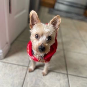 Meet your Posher, Selene